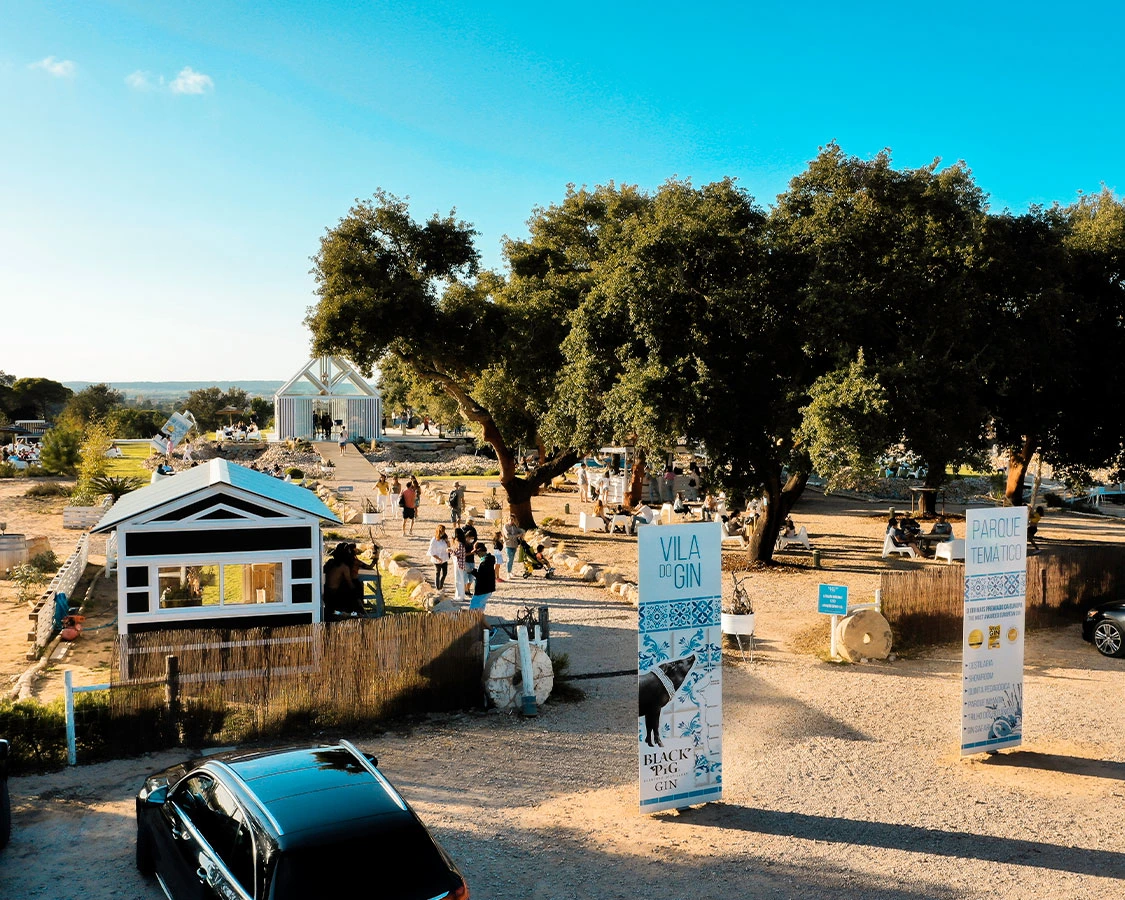 Black Pig — gin tónico ao pôr-do-sol